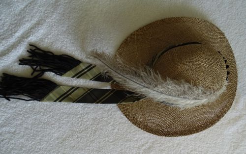 Top-down view of the hat with good view of the feather in proportion to the other elements.
